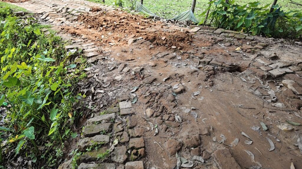 Water Scarcity Ends as Tata Trusts Restores Spring in Tripura