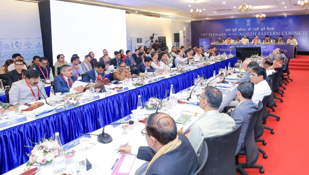 NEC Meeting Focuses on Northeast Peace and Prosperity