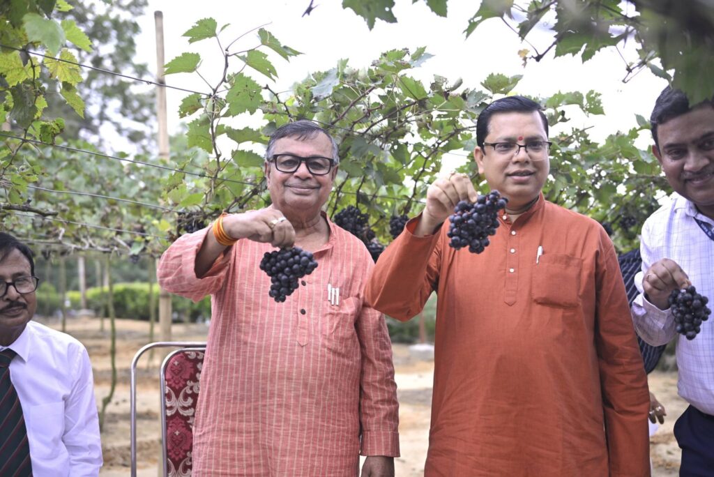 Ratan Lal Nath Promotes Commercial Grape Cultivation