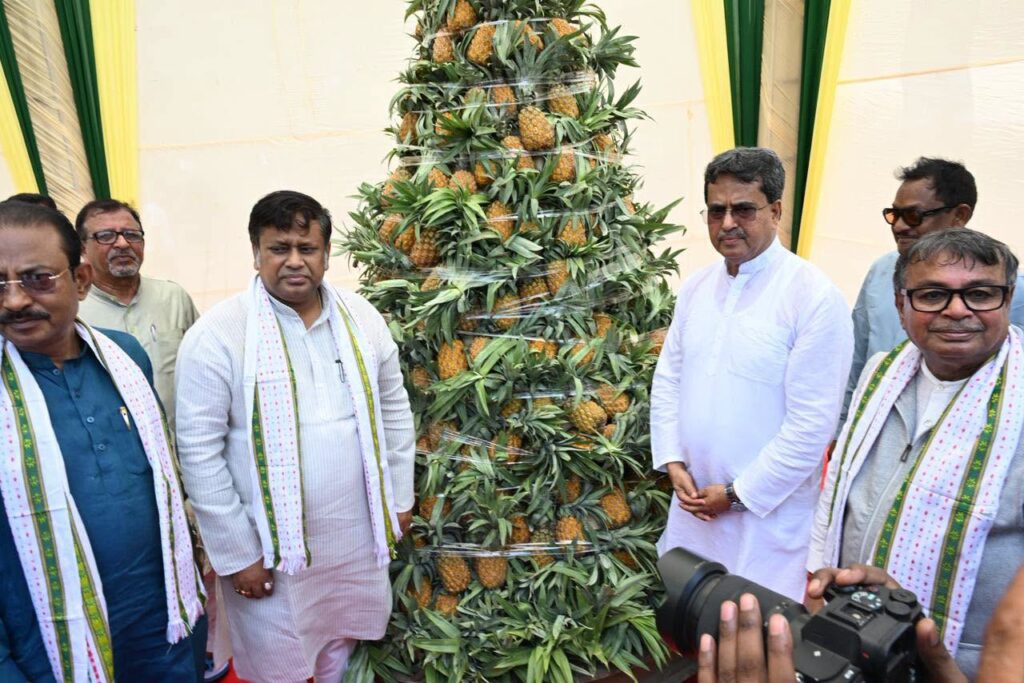 Queen Pineapple Takes Centre Stage at Global Festival
