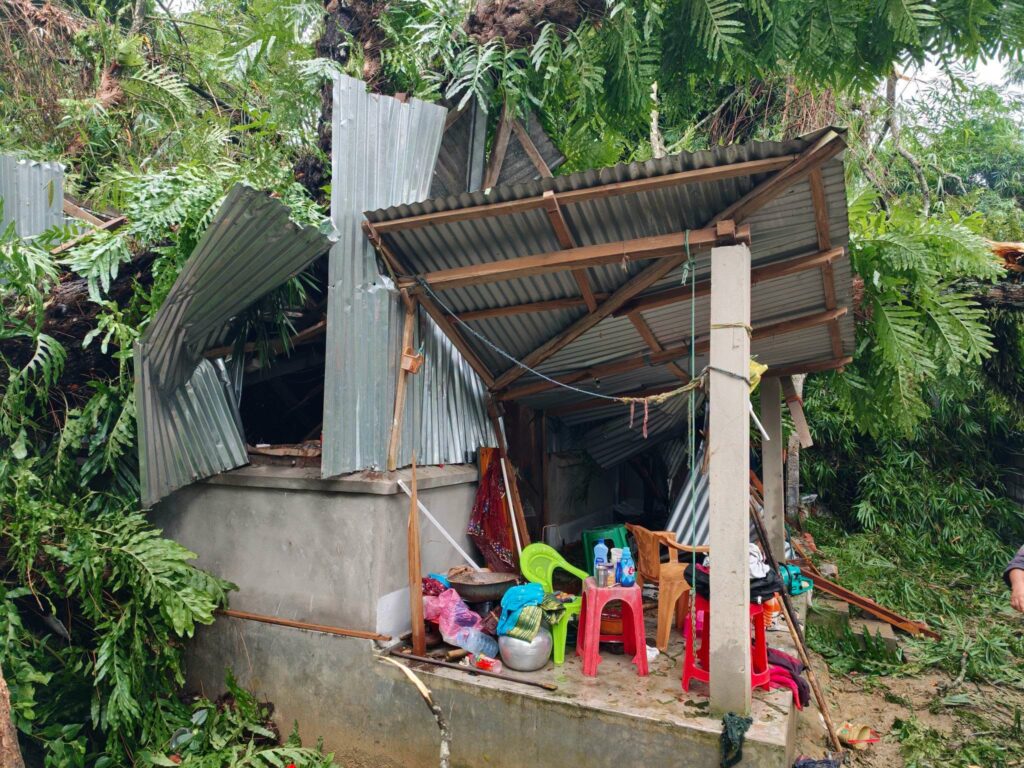 Teliamura families homeless after banyan tree crashes onto houses