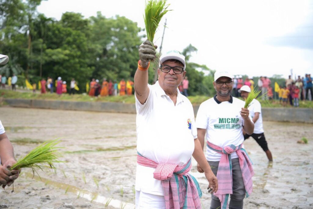 Minister joins farmers, highlights advanced paddy cultivation techniques