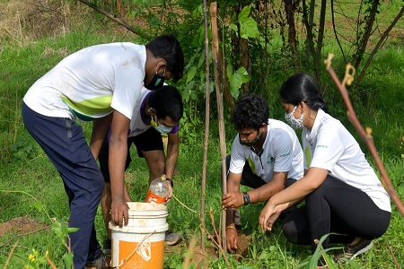 akashvani aizawl employees planted trees under ‘ek ped maa ke naam’ campaign