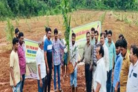 over 17 lakh saplings planted across 15 states in mega oil palm plantation drive 2024