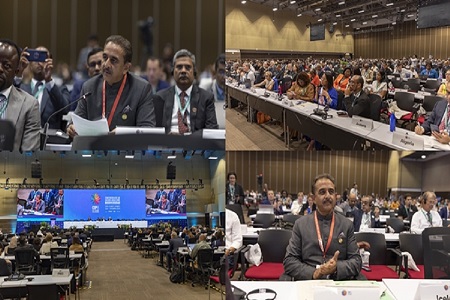 india reaffirms global biodiversity commitment at cop16 highlights big cat conservation  sustainable living