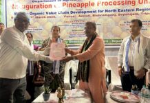 Tripura’s Organic Produce Gains National Market as Big Basket, Mother Dairy Begin Procurement