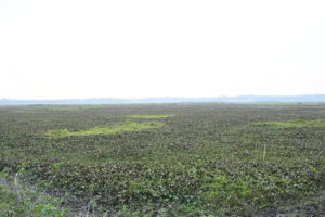 Tripura-to-Get-Rs.-42.4-Cr-Integrated-Aquapark-at-Kailashahar