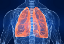 Nasal spray gene therapy targets lungs in major breakthrough Nasal spray gene therapy targets lungs in major breakthrough