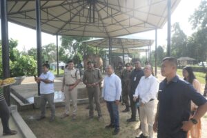 Forest Department to trial elephant safari with officials first