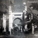 Jackson Gate and the Story of an Untamed Firebrand Jackson Gate and the Story of an Untamed Firebrand