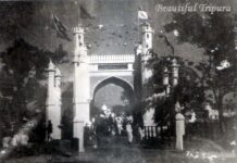 Jackson Gate and the Story of an Untamed Firebrand Jackson Gate and the Story of an Untamed Firebrand