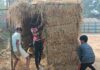 Burir Ghar prep intensify as Sankranti nears in Kalyanpur Villages Burir Ghar prep intensify as Sankranti nears in Kalyanpur Villages
