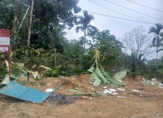 Vandalism Threatens Ecology and Culture of Jampui Hills Vandalism Threatens Ecology and Culture of Jampui Hills
