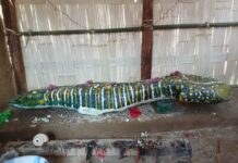 Serpent Rock Discovery Revives Raima Saima Sacred Legend Serpent Rock Discovery Revives Raima Saima Sacred Legend