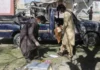 Bajaur Blast: Deadly Suicide Bombing Kills 11 Pakistani Troops Bajaur Blast: Deadly Suicide Bombing Kills 11 Pakistani Troops