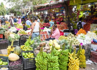 West Asia Crisis Devastates Kerala Fruit Export Market West Asia Crisis Devastates Kerala Fruit Export Market