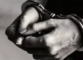 Tripura villagers unite demanding arrests in shocking agarwood theft case Tripura villagers unite demanding arrests in shocking agarwood theft case