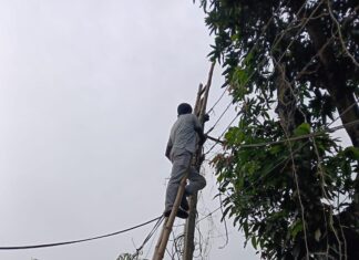 Tripura Storm Devastates Power Grid, Rs 5.59 Crore Losses Reported Tripura Storm Devastates Power Grid, Rs 5.59 Crore Losses Reported