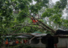 Deadly Storms Ravage Tripura, Over 4,000 Homes Destroyed Deadly Storms Ravage Tripura, Over 4,000 Homes Destroyed