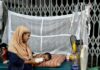 Bangladesh measles crisis worsens amid Yunus govt vaccine disruption Bangladesh measles crisis worsens amid Yunus govt vaccine disruption