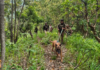 Kuki-Zo Shutdown Extended Amid Hostage Crisis in Manipur Districts Kuki-Zo Shutdown Extended Amid Hostage Crisis in Manipur Districts