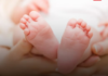 Tripura Achieves Historic Drop in Infant Mortality Rate in 2024 Tripura Achieves Historic Drop in Infant Mortality Rate in 2024