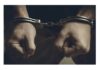 Four Tripura cops arrested in seized narcotics tampering scandal Four Tripura cops arrested in seized narcotics tampering scandal