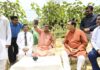 Tripura Begins Sweet Grape Cultivation Revolution Initiative Tripura Begins Sweet Grape Cultivation Revolution Initiative