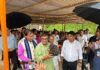 Tripura Expands Oil Palm Cultivation for Self-Reliance
