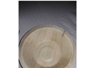 Jampui Hills Arecanut Plates Help Recovering Addicts Rebuild Lives Jampui Hills Arecanut Plates Help Recovering Addicts Rebuild Lives