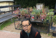 Tripura artist Radha Binod Sharma named Global Arts Ambassador Tripura artist Radha Binod Sharma named Global Arts Ambassador