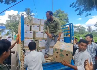 Tripura sends 600 export-quality pineapples to Bangladesh in goodwill Tripura sends 600 export-quality pineapples to Bangladesh in goodwill