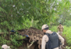 Militants Blow Up Bailey Bridge in Manipur’s Kamjong District Militants Blow Up Bailey Bridge in Manipur's Kamjong District