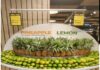 Tripura Organic Pineapple, Lemon Enter Dubai Retail Market Tripura Organic Pineapple, Lemon Enter Dubai Retail Market