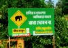 Recurring jumbo raids reflect shrinking elephant habitat, vanishing corridors Recurring jumbo raids reflect shrinking elephant habitat, vanishing corridors