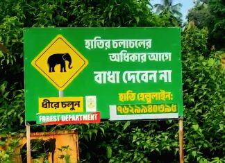 Recurring jumbo raids reflect shrinking elephant habitat, vanishing corridors Recurring jumbo raids reflect shrinking elephant habitat, vanishing corridors