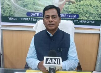 Tripura Tea Sector Awaits Rs 726 Crore Investment Boost Tripura Tea Sector Awaits Rs 726 Crore Investment Boost
