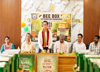 Tripura Nectar expands honey production as women SHGs receive new bee boxes Tripura Nectar expands honey production as women SHGs receive new bee boxes