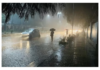 IMD Reports Rainfall Deficit Across Five Northeast States IMD Reports Rainfall Deficit Across Five Northeast States