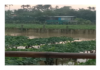 Heavy rain floods Kalyanpur, damaging homes and agri fields Heavy rain floods Kalyanpur, damaging homes and agri fields