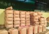 TTDC to Dispatch Record 15.31-Tonne Tea Consignment Outside Tripura TTDC to Dispatch Record 15.31-Tonne Tea Consignment Outside Tripura