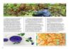 Tripura SHG products featured in IndiGo’s Sept 2026 Hello 6E Tripura SHG products featured in IndiGo’s Sept 2026 Hello 6E
