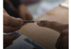 EC defers SIR exercise in Tripura, final electoral roll due February 15 EC defers SIR exercise in Tripura, final electoral roll due February 15
