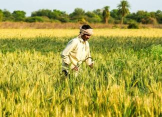 PM-KISAN income support linked with increased farm input use PM-KISAN income support linked with increased farm input use