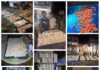 Tripura agencies seize 12.26 lakh Yaba tablets worth Rs 98.08 cr Tripura agencies seize 12.26 lakh Yaba tablets worth Rs 98.08 cr