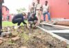 North Tripura adds Alpine Pine plantation to Swachhata Hi Seva 2026 North Tripura adds Alpine Pine plantation to Swachhata Hi Seva 2026